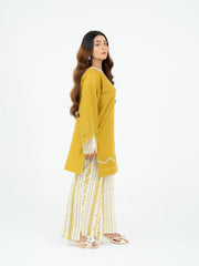 2 PIECE - EMBROIDERED SUIT