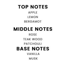 BUSINESS MAN (DUNHILL DESIRE)