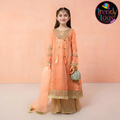 Girl's Party Wear/3 Pcs Organza Dress