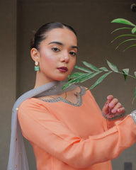 Raahi