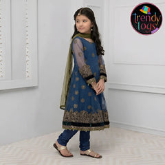Girl's Party Wear/3 Pcs Net Dress