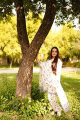 Printed Lawn 3-Piece Stitched Suit with Chiffon Dupatta
