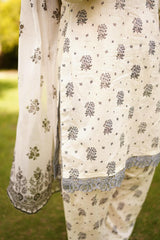 Printed Lawn 3-Piece Stitched Suit with Chiffon Dupatta