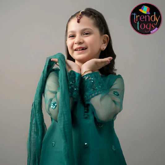 Girl's Party Wear/3 Pcs Organza Dress