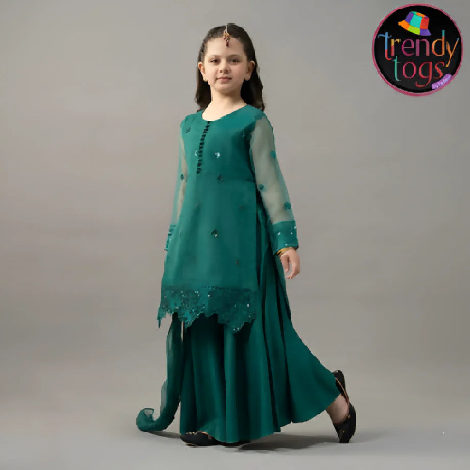 Girl's Party Wear/3 Pcs Organza Dress