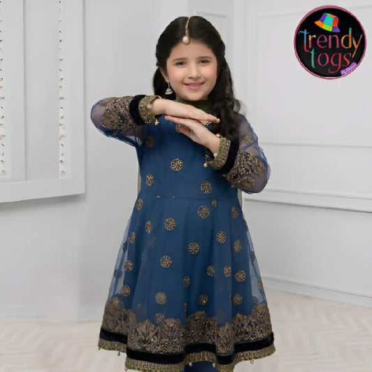 Girl's Party Wear/3 Pcs Net Dress