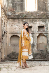 Daft-e-Hawa noorangi