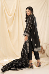 MID NIGHT MYSTERY (2 Pcs Stitched Dupata & Shirt) noorangi