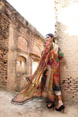 Raqs-e-Sultani noorangi