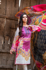 Zyafat-e-Bahar noorangi